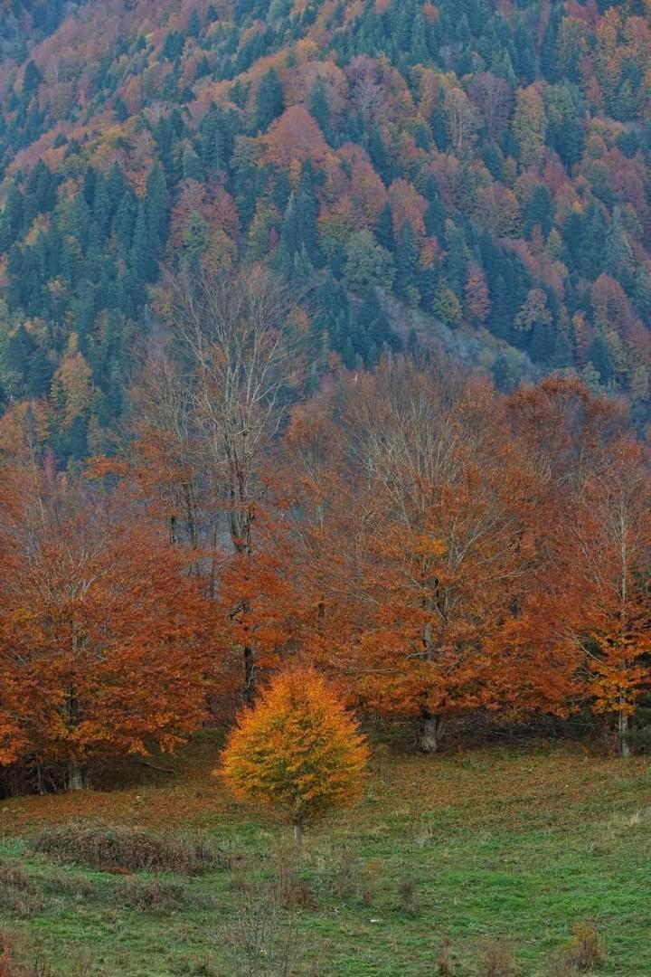 Archontiko Tou Krommyda Eláti Extérieur photo